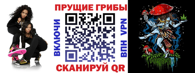 Галлюциногенные грибы прущие грибы  KRAKEN ТОР  Спасск-Дальний 