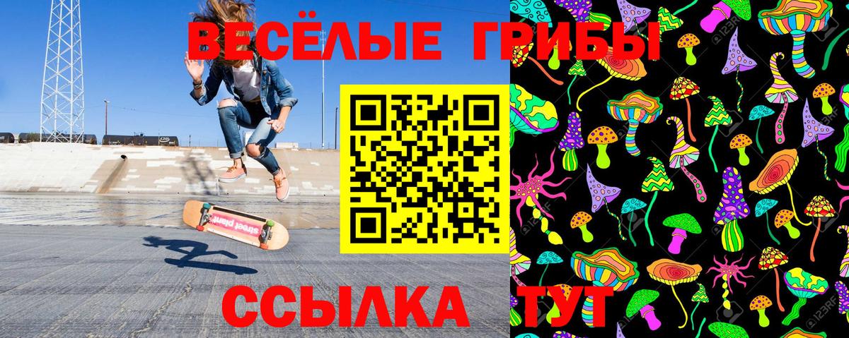 Псилоцибиновые грибы GOLDEN TEACHER Спасск-Дальний